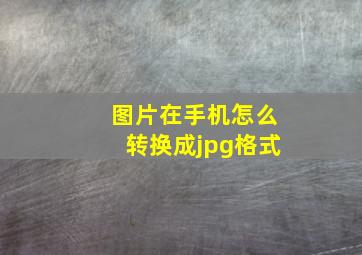 图片在手机怎么转换成jpg格式