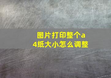 图片打印整个a4纸大小怎么调整