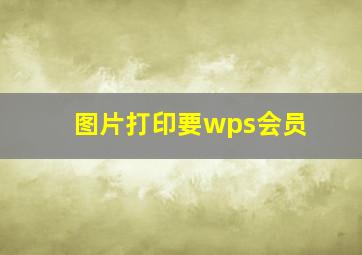 图片打印要wps会员