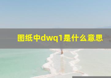 图纸中dwq1是什么意思