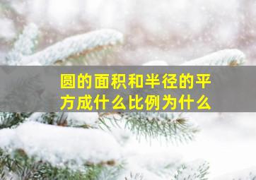 圆的面积和半径的平方成什么比例为什么