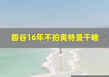 圆谷16年不拍奥特曼干啥