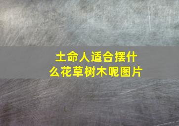 土命人适合摆什么花草树木呢图片