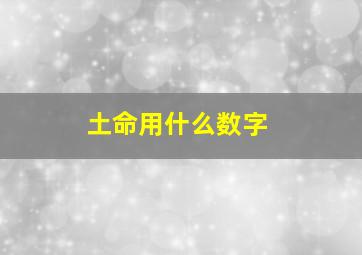 土命用什么数字