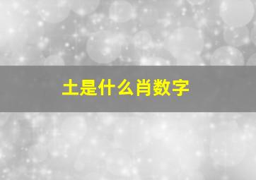 土是什么肖数字