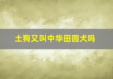 土狗又叫中华田园犬吗