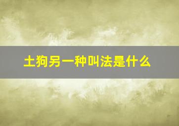 土狗另一种叫法是什么