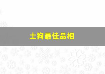 土狗最佳品相