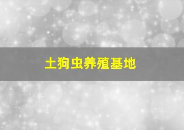 土狗虫养殖基地