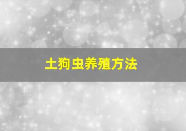 土狗虫养殖方法