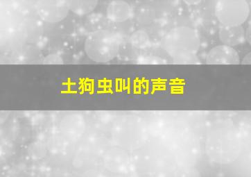 土狗虫叫的声音