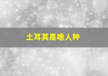 土耳其是啥人种