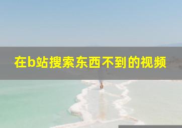 在b站搜索东西不到的视频