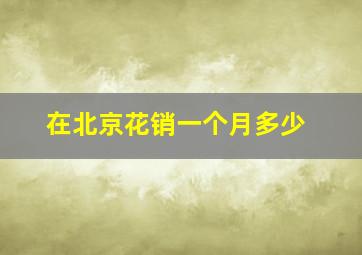 在北京花销一个月多少