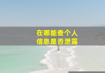 在哪能查个人信息是否泄露