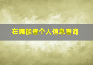 在哪能查个人信息查询