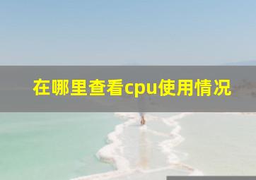 在哪里查看cpu使用情况