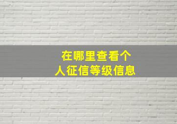 在哪里查看个人征信等级信息