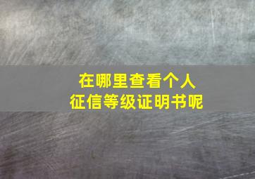 在哪里查看个人征信等级证明书呢