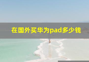 在国外买华为pad多少钱