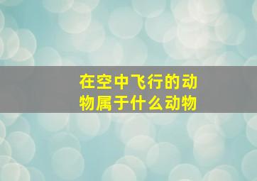 在空中飞行的动物属于什么动物