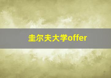 圭尔夫大学offer