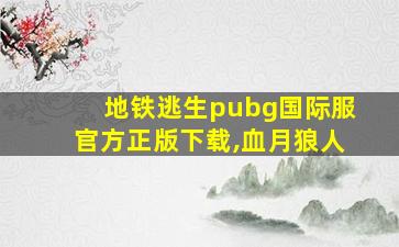 地铁逃生pubg国际服官方正版下载,血月狼人