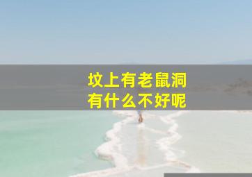 坟上有老鼠洞有什么不好呢