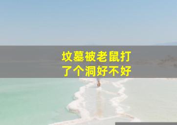 坟墓被老鼠打了个洞好不好