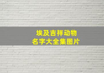 埃及吉祥动物名字大全集图片