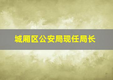 城厢区公安局现任局长