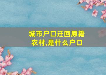 城市户口迁回原籍农村,是什么户口