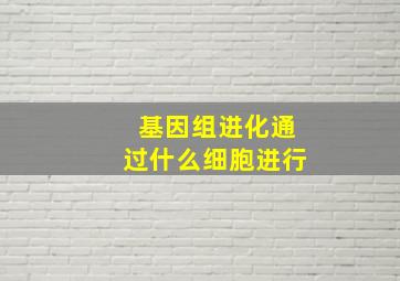 基因组进化通过什么细胞进行