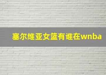 塞尔维亚女篮有谁在wnba