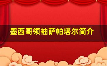 墨西哥领袖萨帕塔尔简介