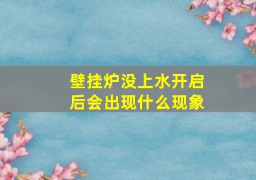 壁挂炉没上水开启后会出现什么现象