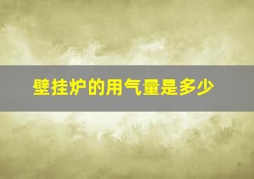 壁挂炉的用气量是多少