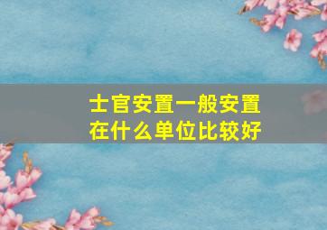 士官安置一般安置在什么单位比较好