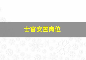 士官安置岗位