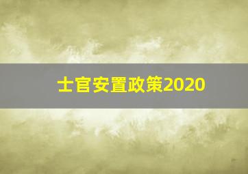 士官安置政策2020