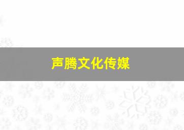 声腾文化传媒