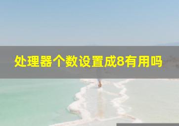 处理器个数设置成8有用吗