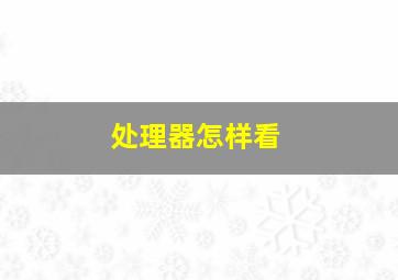 处理器怎样看