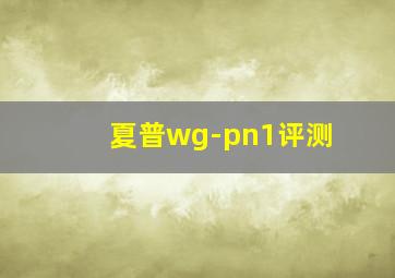 夏普wg-pn1评测