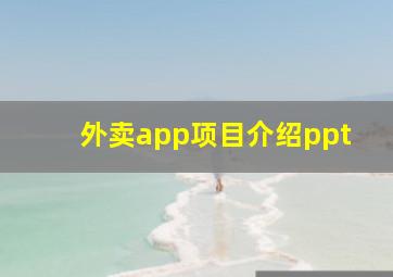 外卖app项目介绍ppt