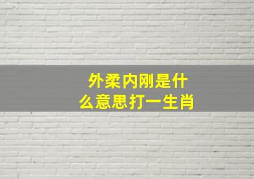 外柔内刚是什么意思打一生肖