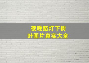 夜晚路灯下树叶图片真实大全