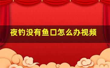 夜钓没有鱼口怎么办视频