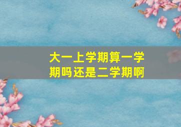 大一上学期算一学期吗还是二学期啊