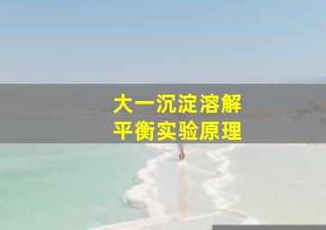 大一沉淀溶解平衡实验原理